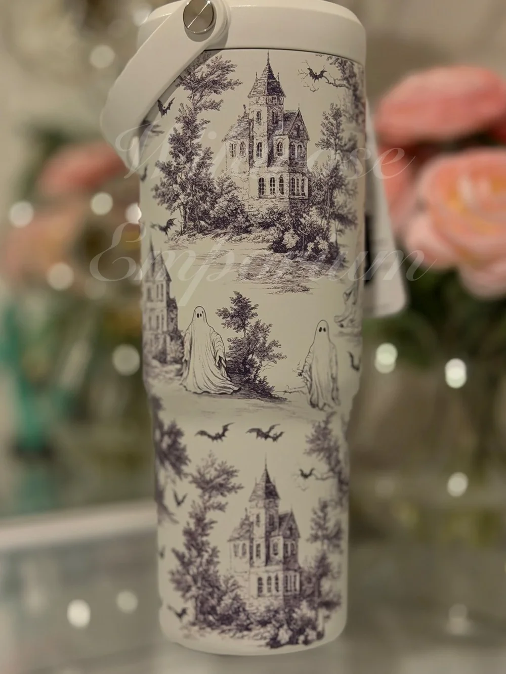 Hydrapeak haunted halloween village ghosts bats etched style water bottle nomad